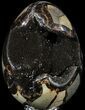 Septarian Dragon Egg Geode - Black Crystals #54541-1